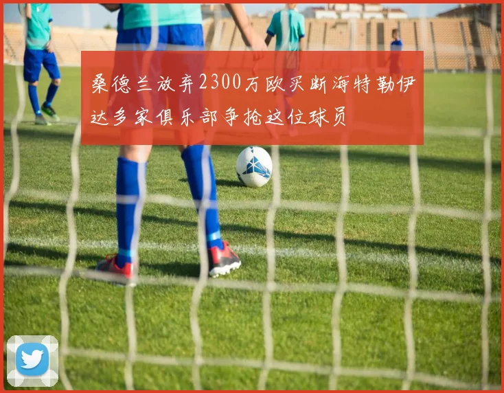 桑德兰放弃2300万欧买断海特勒伊达多家俱乐部争抢这位球员