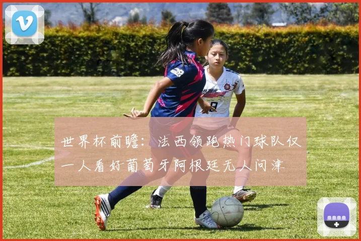 世界杯前瞻：法西领跑热门球队仅一人看好葡萄牙阿根廷无人问津